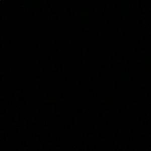 Meet your Posher, Daniela